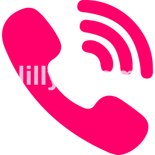 Bilaspur Call Girls service